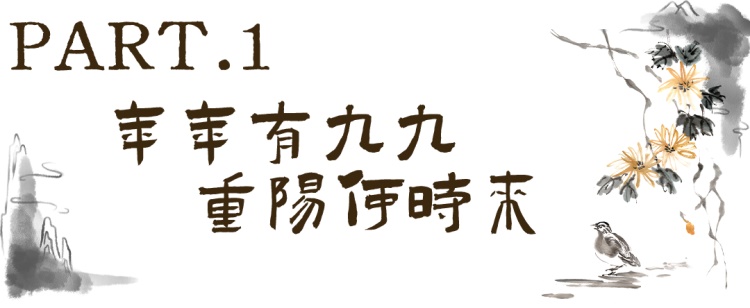 DM_20250102162722_003.jpg